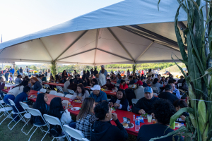 large group of employees eating together at company picnic